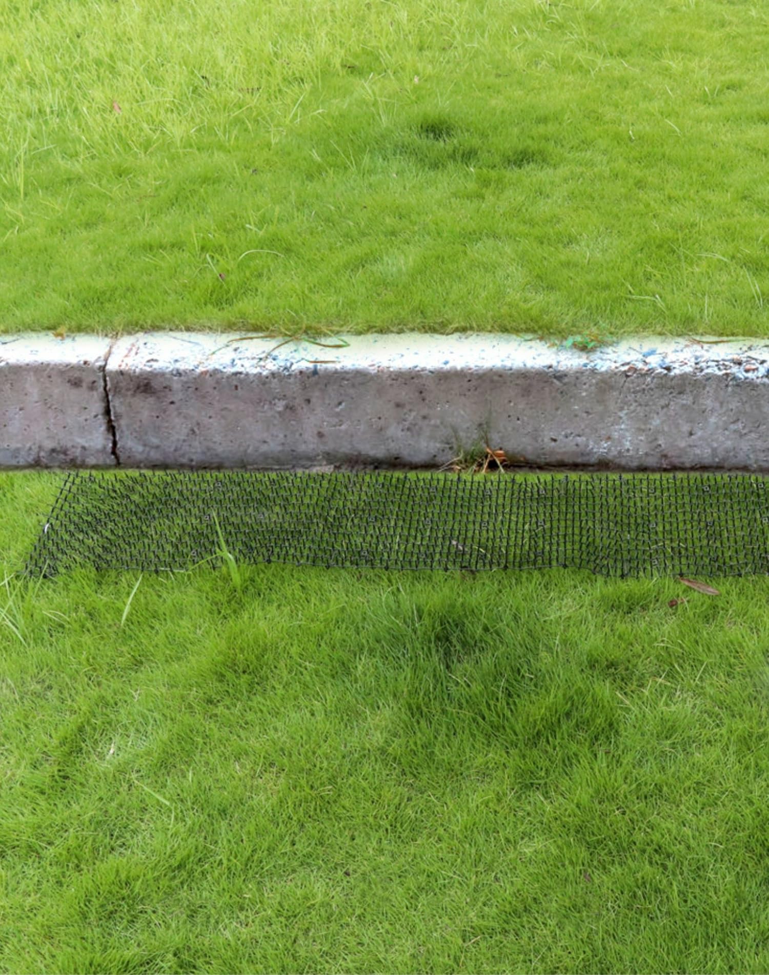 QWORK® 2-pakowa mata odstraszająca koty - 200 cm x 30 cm - siatka kolczasta z barierą dla zwierząt do pokojowego odstraszania kotów i innych zwierząt
