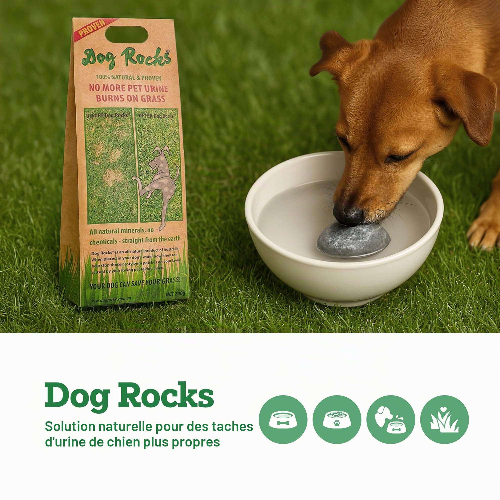 Dog Rocks Urvent Patch Patch Prévention 600g