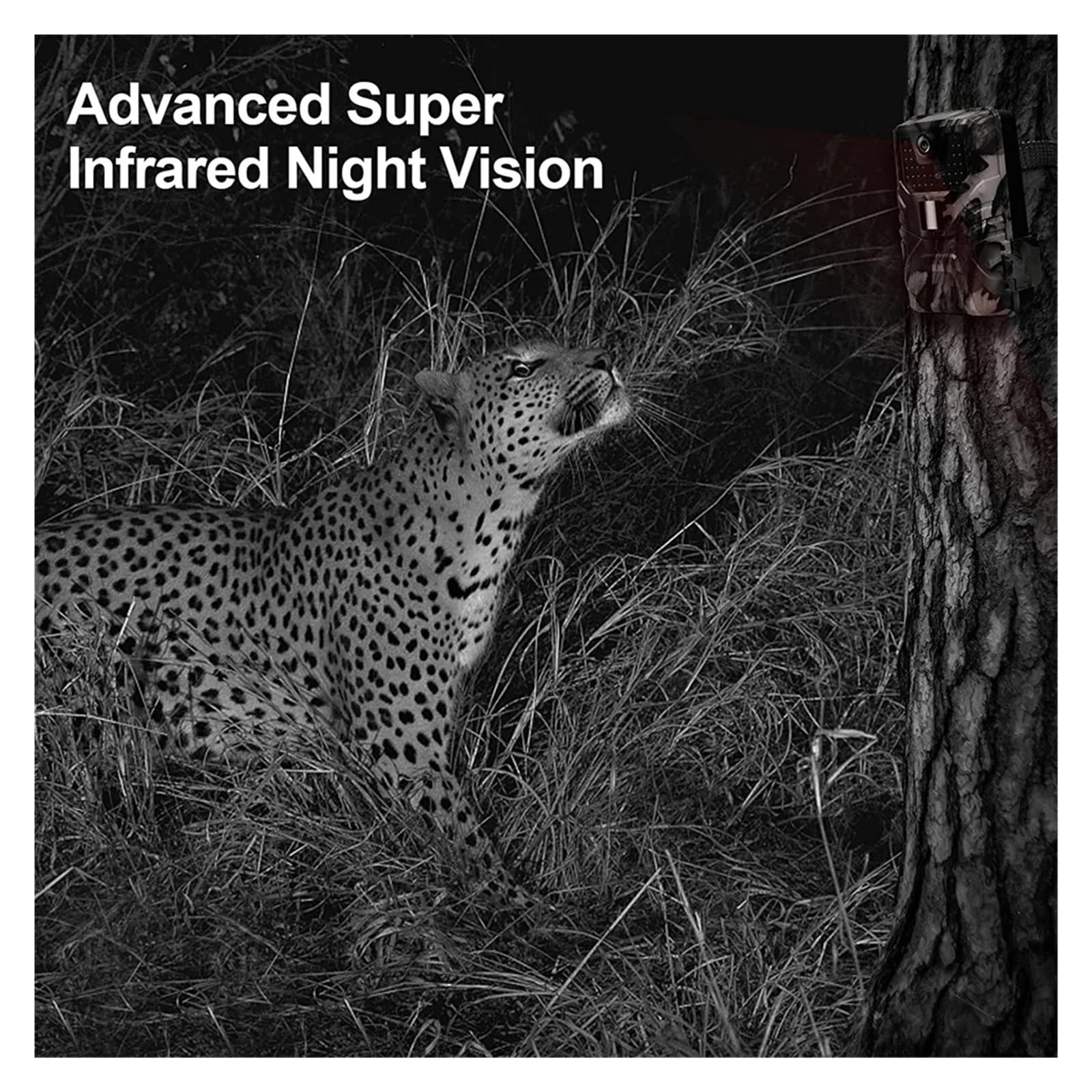 Zewnętrzna Aplikacja WIFI 4K/2,7K 36MP/24MP Kamera Obserwacyjna Wildlife Noktowizor Na Podczerwień Aktywowany Ruchem IP65 Pułapka Do Gier Wodoodporna WyraźNe Obrazy I Filmy(Light green)