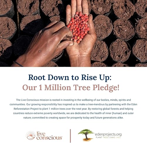 Miniatura 2 de LiverWell - Limpieza hepática, rejuvenecimiento, apoyo metabólico, suplemento hepático para la salud hepática con extracto de cardo mariano