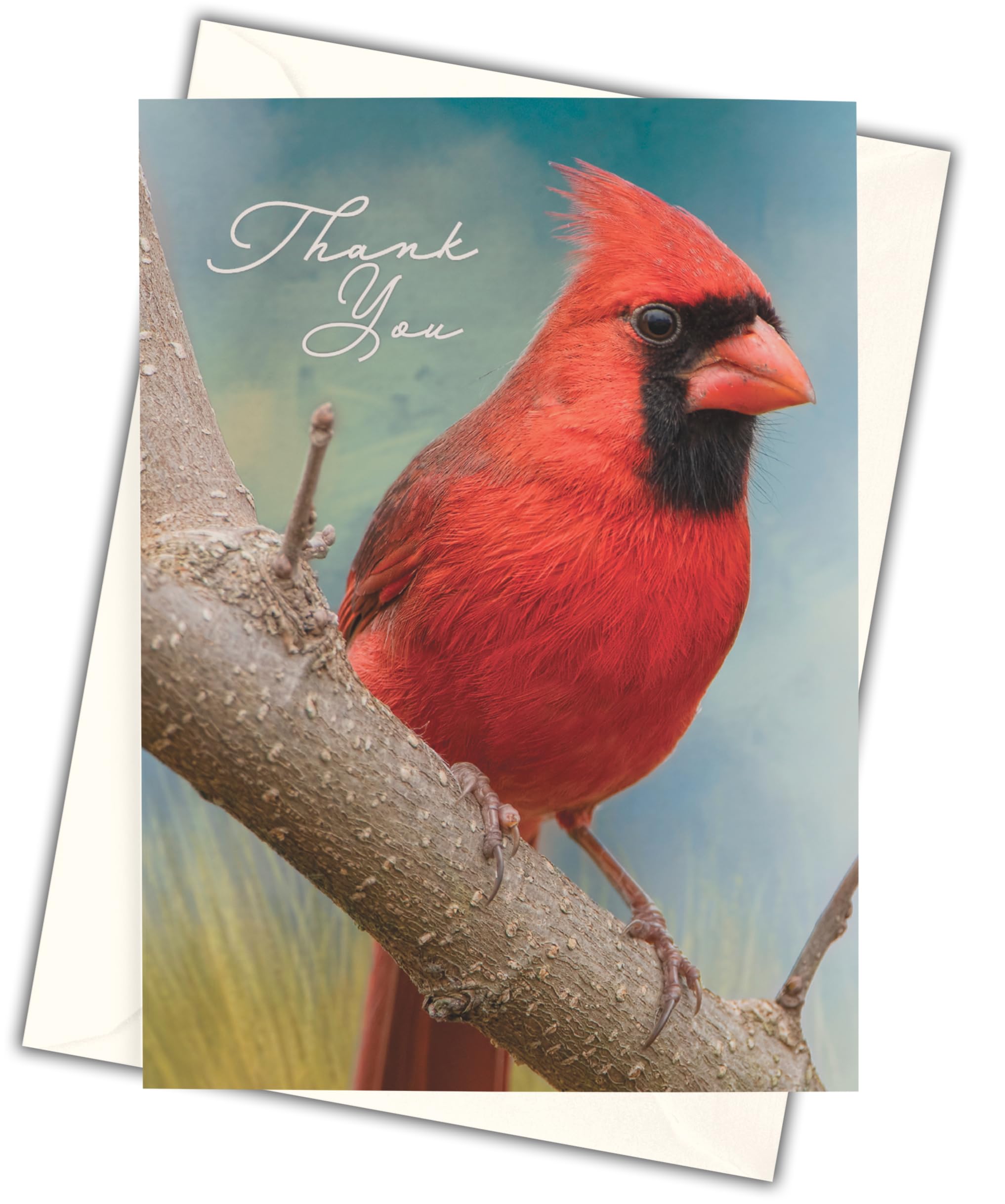 Funeral Thank You Cards - Sympathy Bereavement Thank You Cards With Envelopes - Message Inside (50, Cardinal)