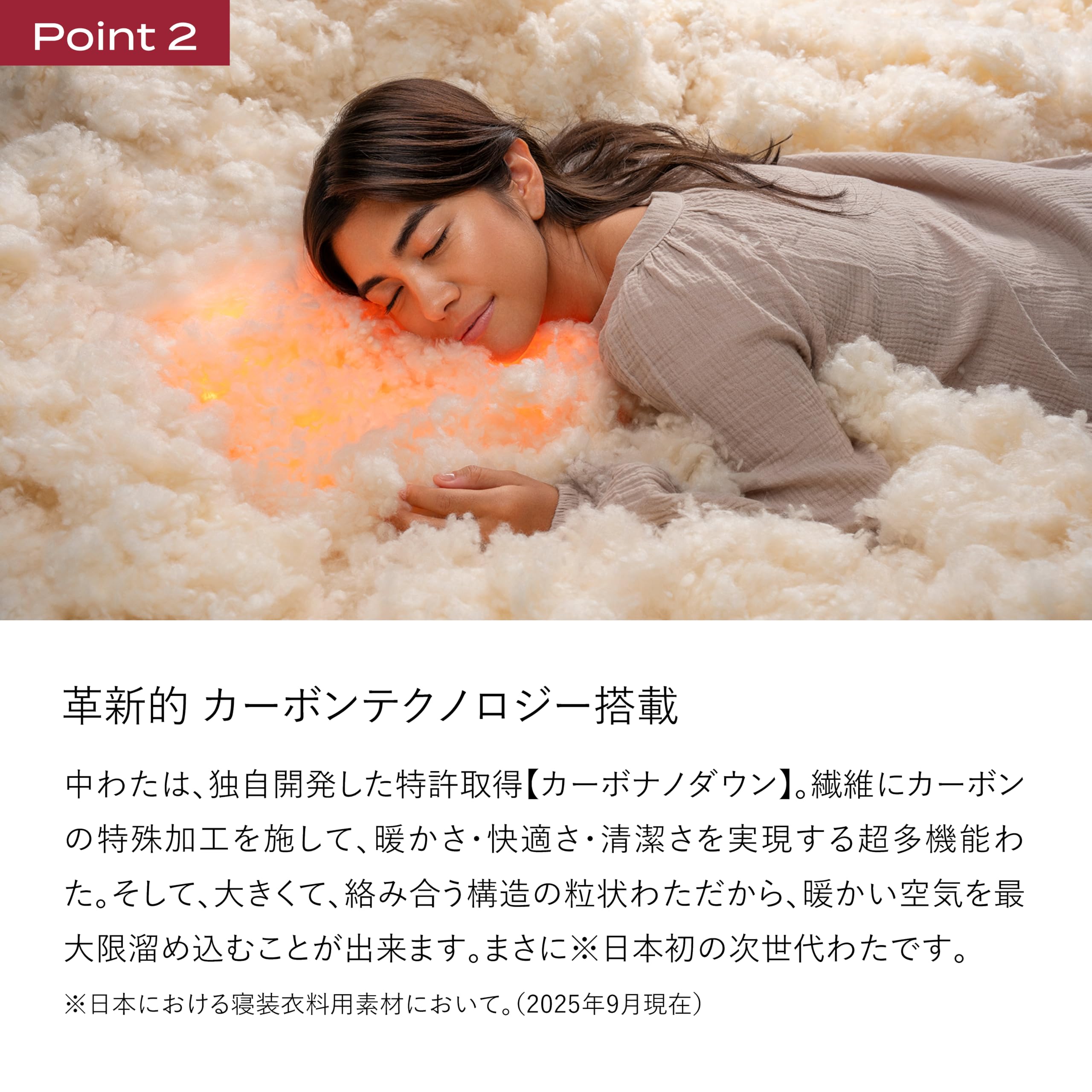 Amazon.co.jp: BRAIN SLEEP: パーフェクトウォーム EX