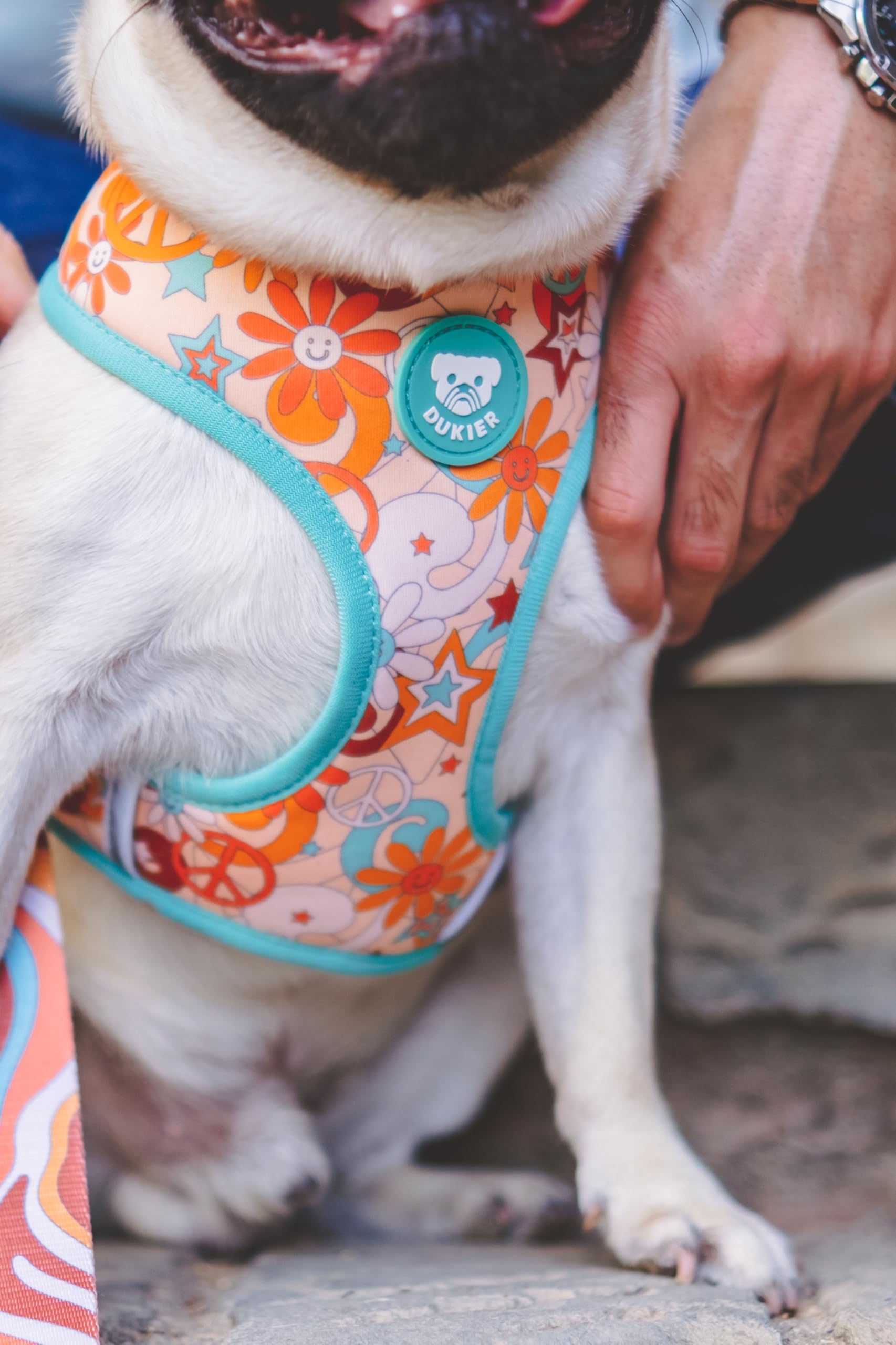 DUKIER - Arnés Reversible para Perro, Chaleco Antitirones, Transpirable y Reflectante para Mascotas, de Neopreno y Malla, Ajustable, Diseño Peace, Talla M