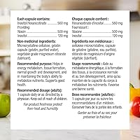 Vista 4 de Webber Naturals Cápsula de vitamina B3 de niacina sin enjuague, 500 mg 90