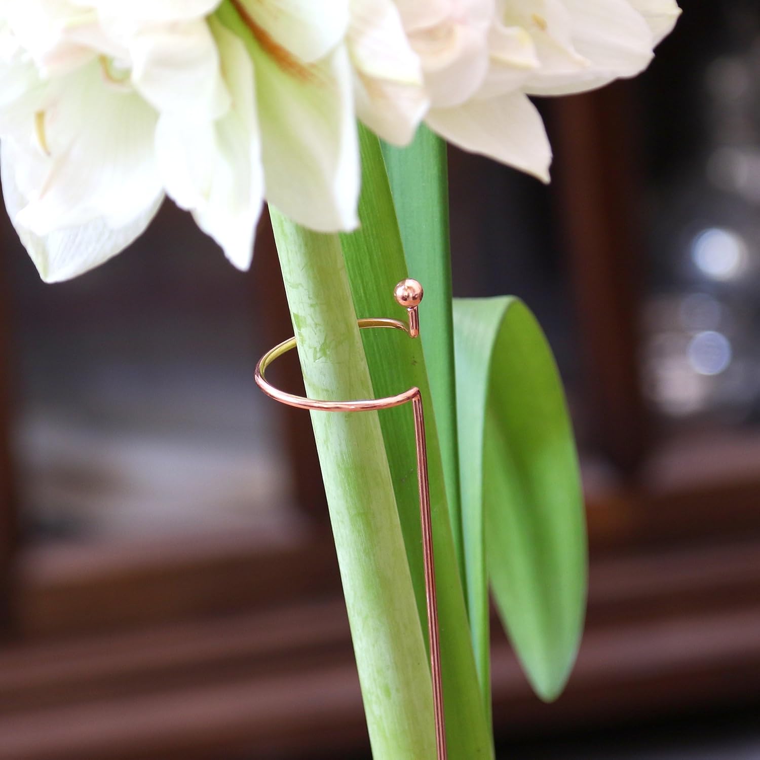 Flower Support Stakes (3 Pack) Elegant Copper-Colored Stakes Perfect for Amaryllis Flowers, Orchids, Houseplants, Tall Flower Stalks, from Easy to Grow