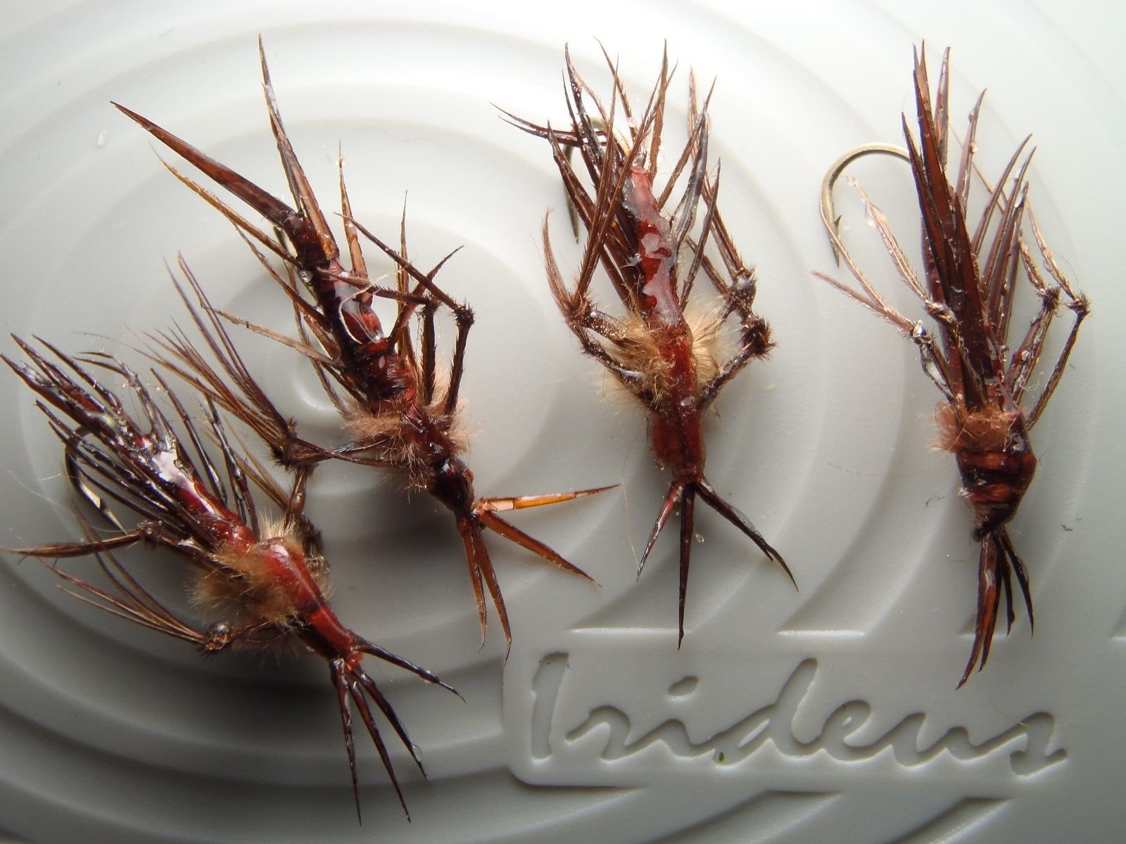 4 Horner's Leggy Hellgrammite Dobsonfly Larvea Nymph Trout Fly Fishing Flies Steelhead Nymph