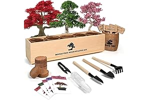 Hobby Kits for Adults Men: Bonsai Tree Kit for Relaxation and Creativity