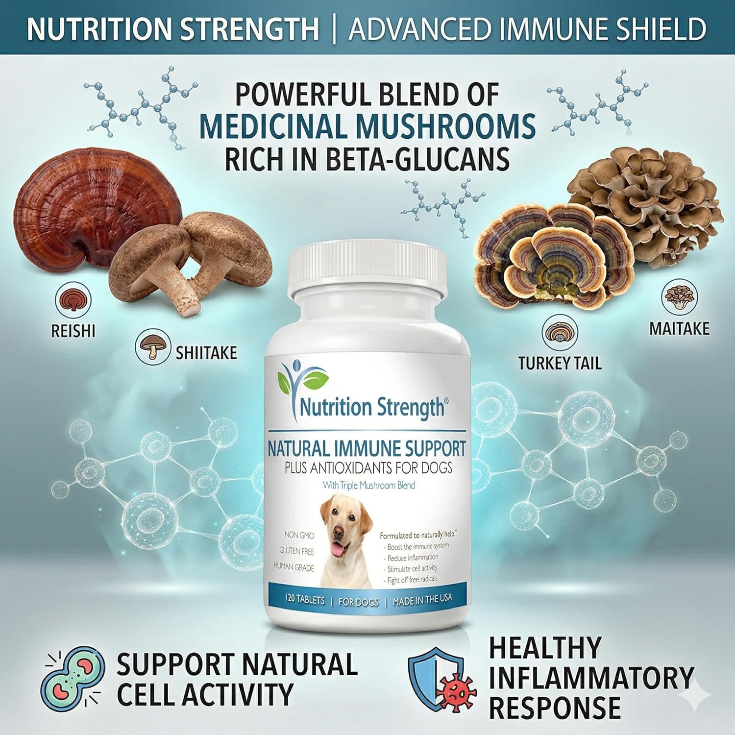 Immune Support for Dogs - Turkey Tail, Reishi, Shiitake & Maitake Mushroom Complex - Senior Dog Health, Antioxidants, CoQ10, Selenium, Vitamin A - 120 Chewable Tablets