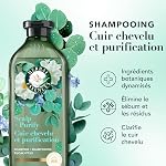 Herbal Essences Pure Plants Eucalyptus Sulfate Free Shampoo, Scalp Balance, with Certified Camellia Oil and Aloe Vera, For All Hair Types, Especially with Dry Scalp, 400 mL