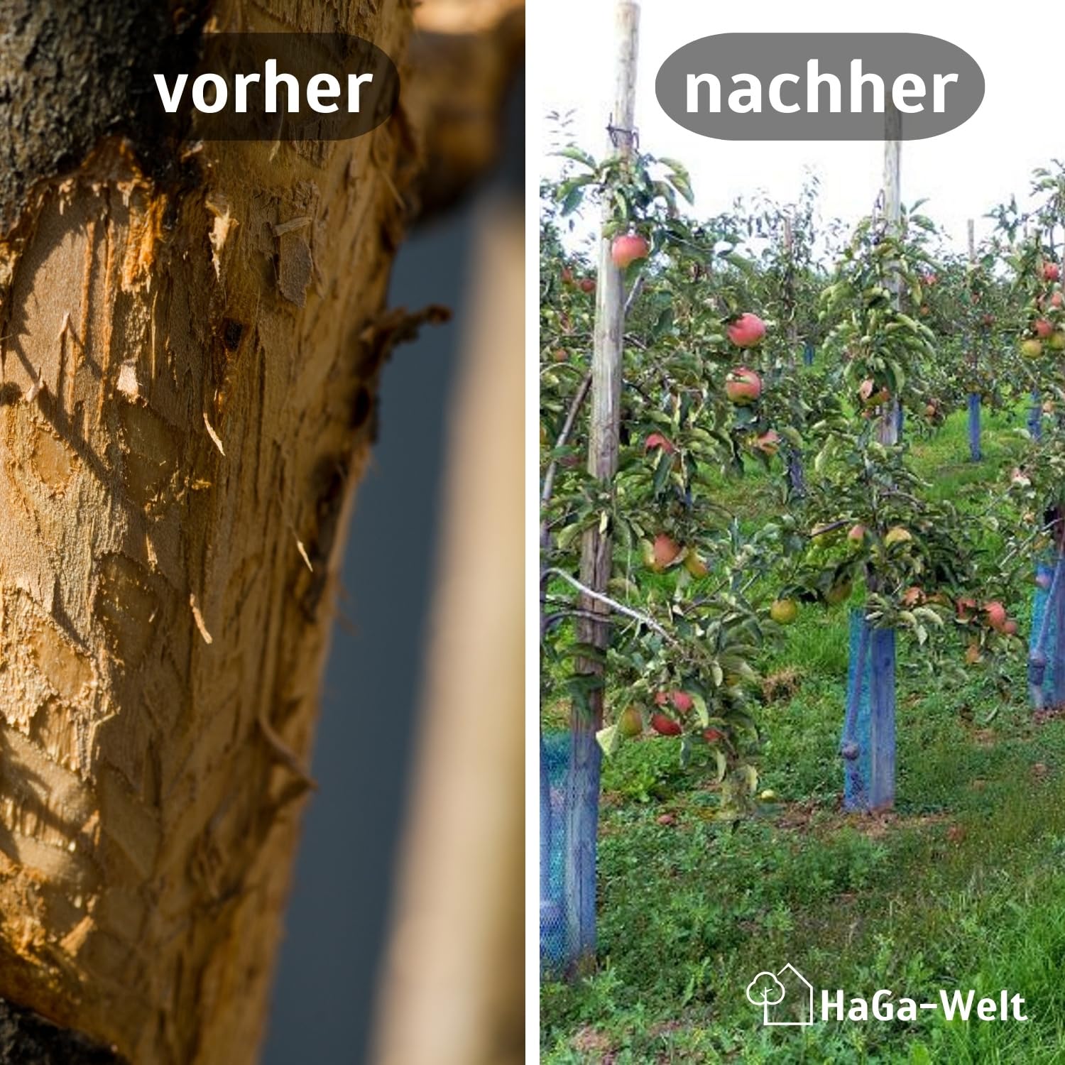 HaGa Baumschutzhülle mit 21g/m² | 50m Länge | Maschenweite 3mm | Ø 150mm – Widerstandsfähiges Baumschutzgitter – Verbissschutz für Baumstamm – zuverlässiger Baumschutz
