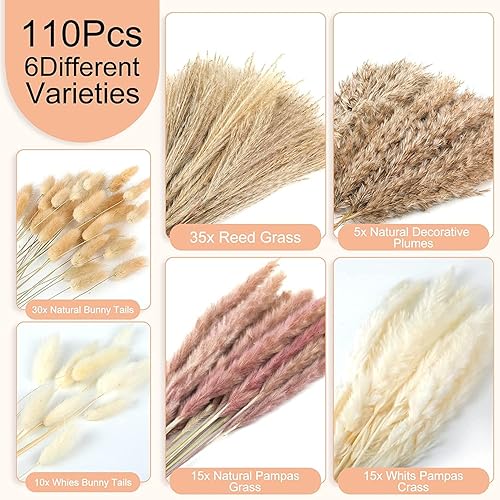 Miniatura 6 de 110 Pampas Grass with Vase Included - Evdekoru Dried Pompous Grass Decor Tall 17.5",Fluffy Dried Flowers Bouquet for Flower Arrangements Wedding