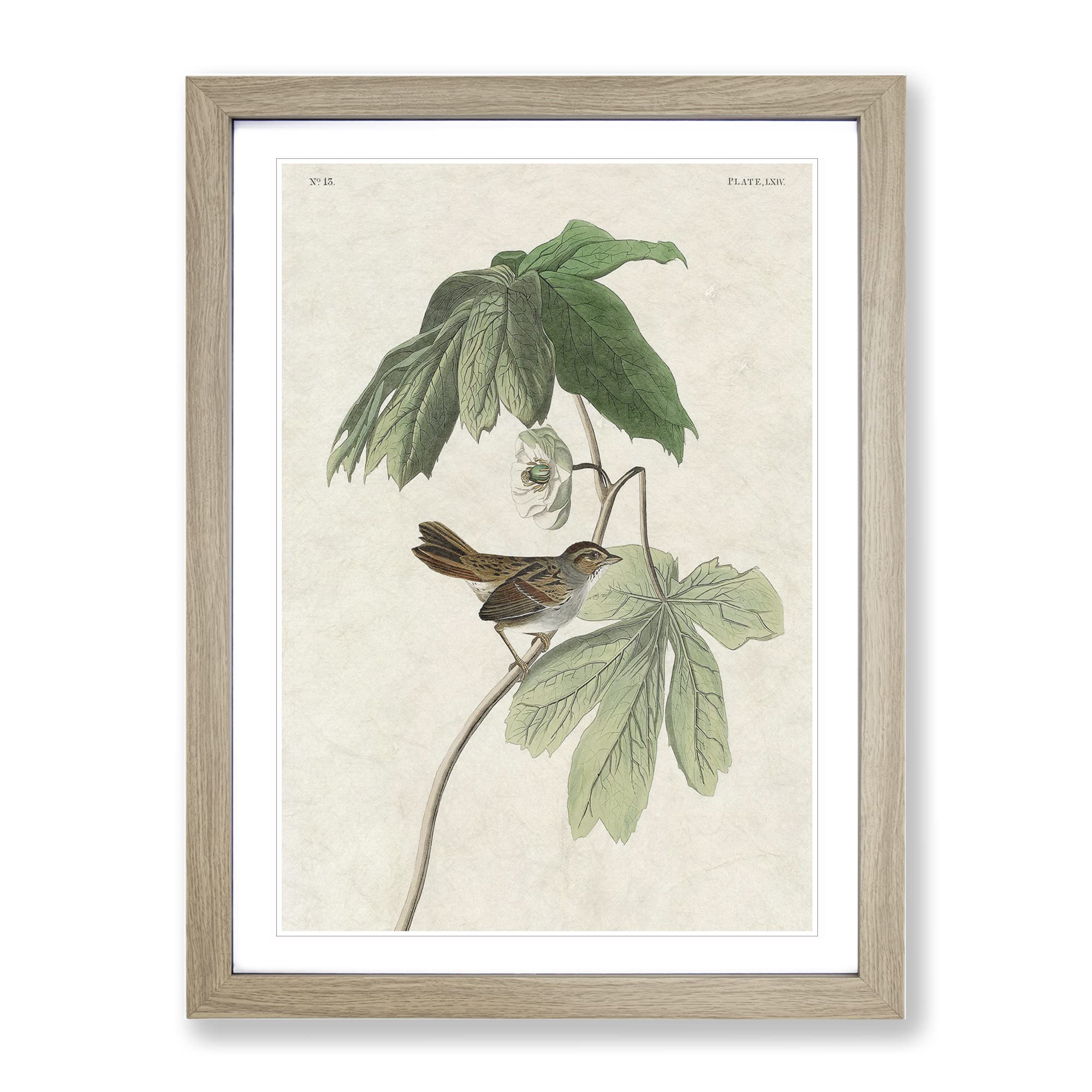 Swamp Sparrow By John James Audubon Vintage Framed Wall Art Print