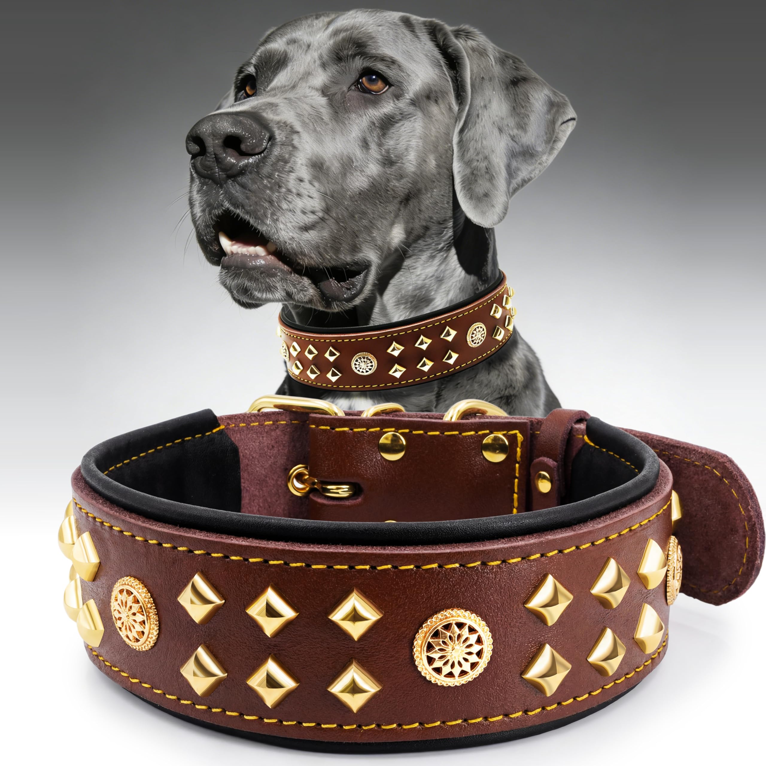 Collier chien cuir véritable clouté EliteGuard marron doré taille M 5.6cm