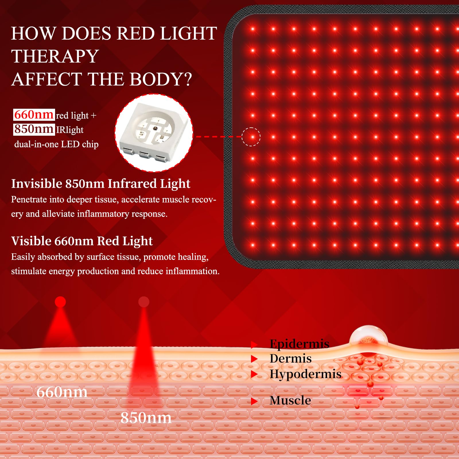 60 x 30cm Rotlichtgürtel, 660 nm und 850 nm Rot und Nahinfrarot Lampengürtel mit Timer Einstellung, 5 Lichtmodi, für Beine, Rücken, Taille, Schultern, Nacken