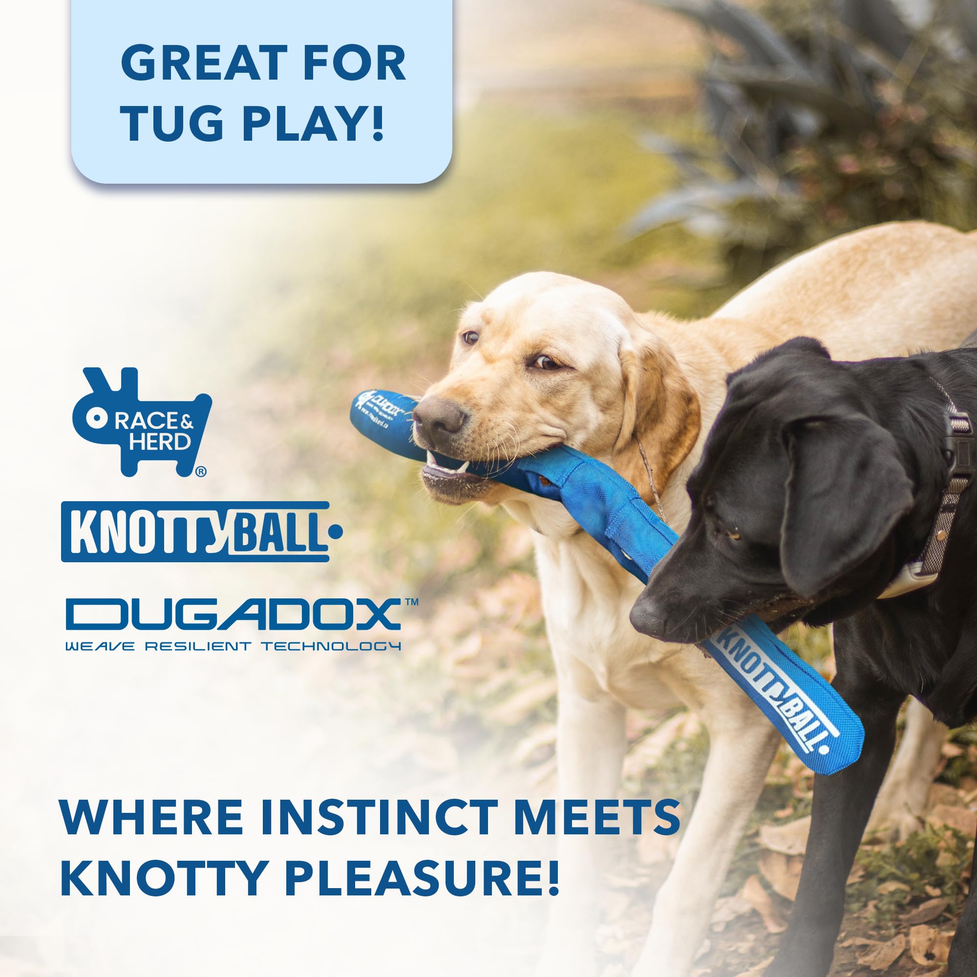KnottyBall Hundespielzeug, interaktiver Schnüffelball und Puzzle-Spielzeug für Hunde jeder Größe, Schnüffelball, fördert natürliche Futtersuchfähigkeiten, langsames Füttern von Hunden, Anreicherung