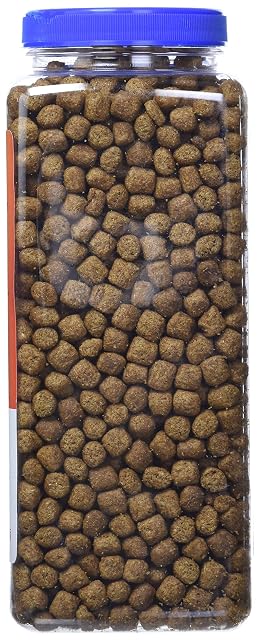Foto 3 de 4 de Zoom Crecimiento Natural de la Tortuga acuática de Alimentos