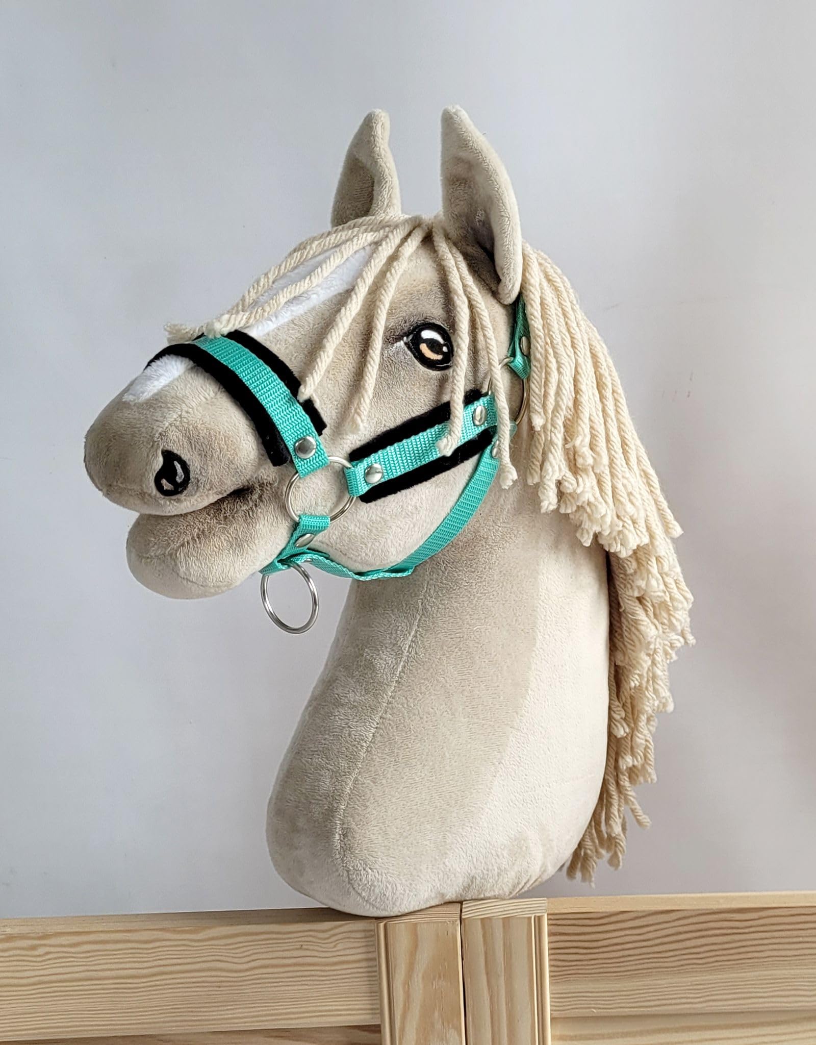 Hobby Horse A3 Menta para Carreras en el Jardín con Palo Ajustable 4