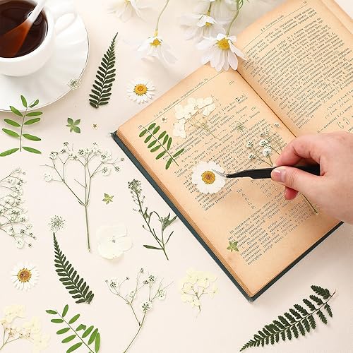 Miniatura 2 de Fabbay 200 piezas de flores secas prensadas de flores naturales secas y secas para resina, kit de flores prensadas para plantas, herbario, álbumes