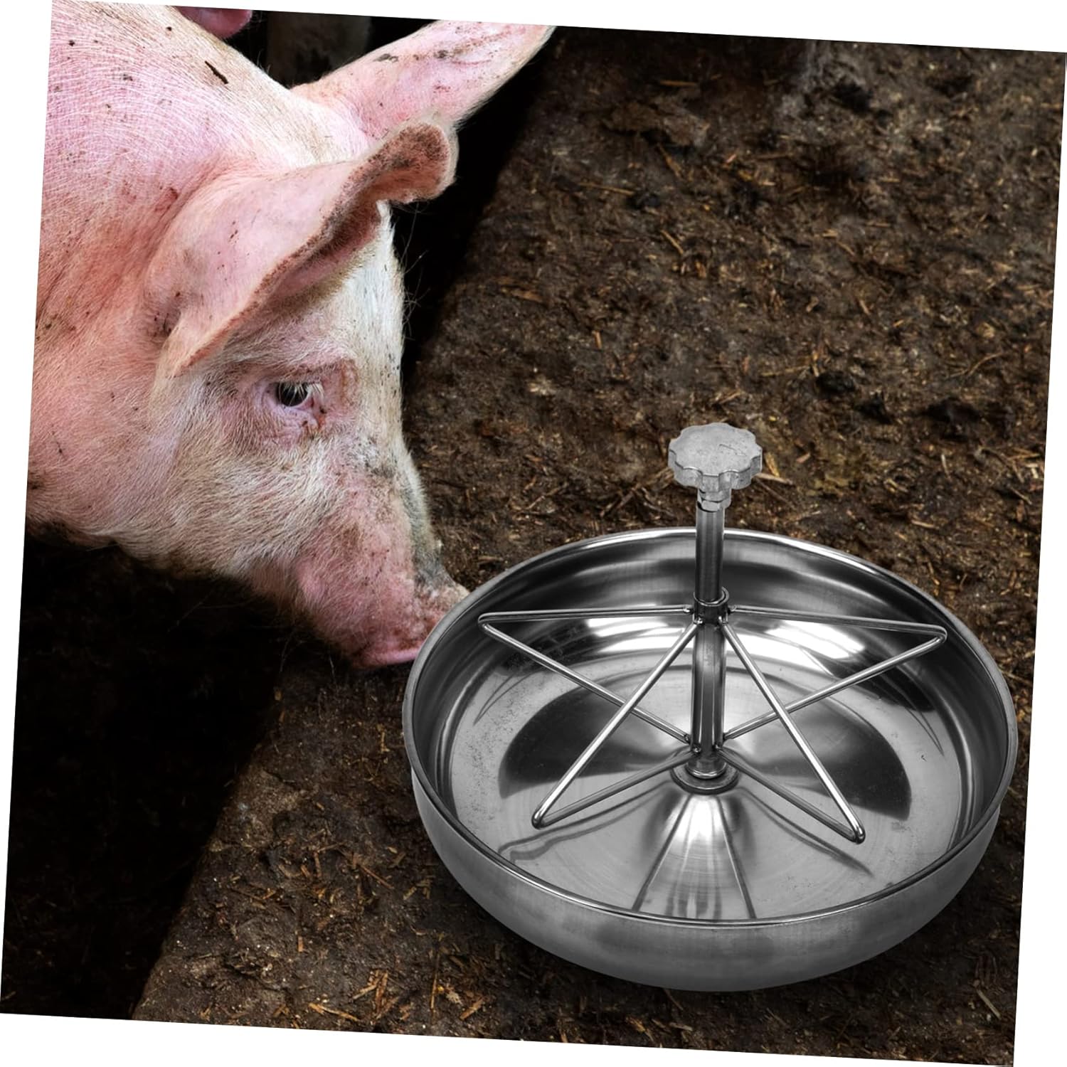 Stainless Steel Pig Trough Guinea Pig Bowl Easy Install for Dry Wet Food
