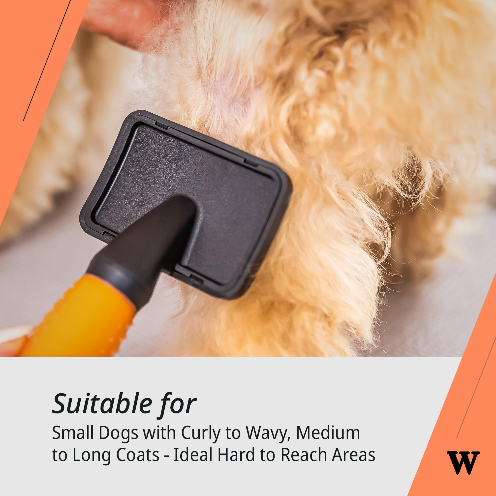 View 5