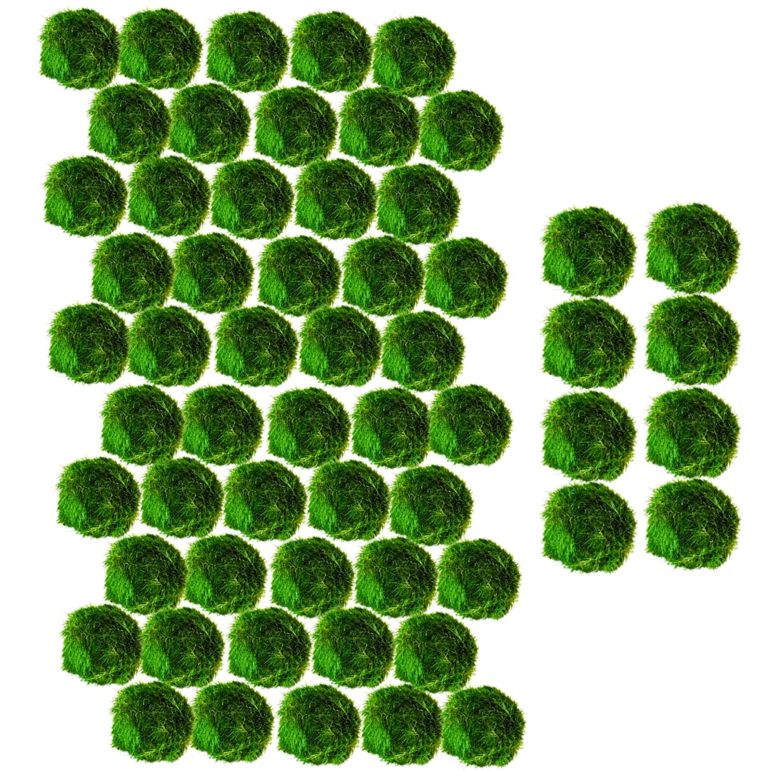 Marimo Moss Balls Aquarium Aquatic Plant Easy Betta Shrimp Java (50 (+8 Free))