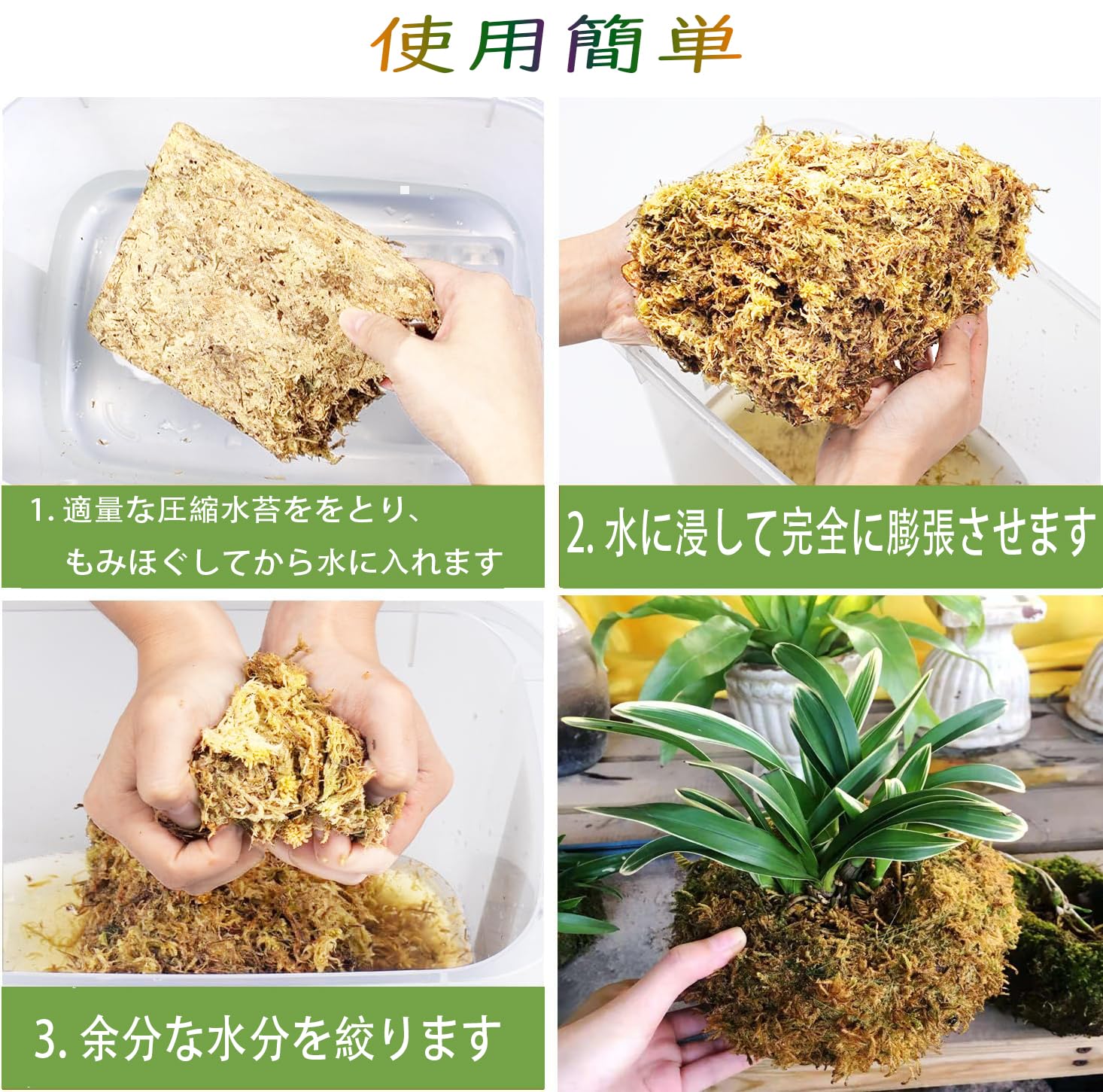 Amazon | 水苔 園芸用 圧縮水苔 胡蝶蘭 ミズゴケ 多肉植物 観葉植物 食
