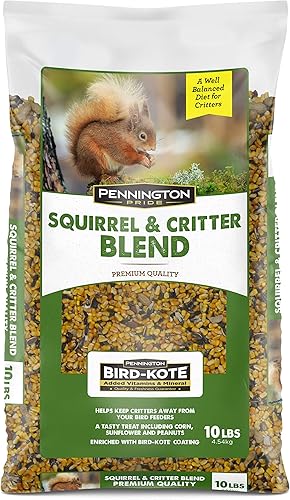 Pennington - Pride Squirrel & Critter - Mezcla de semillas para pájaros silvestres, 10 libras