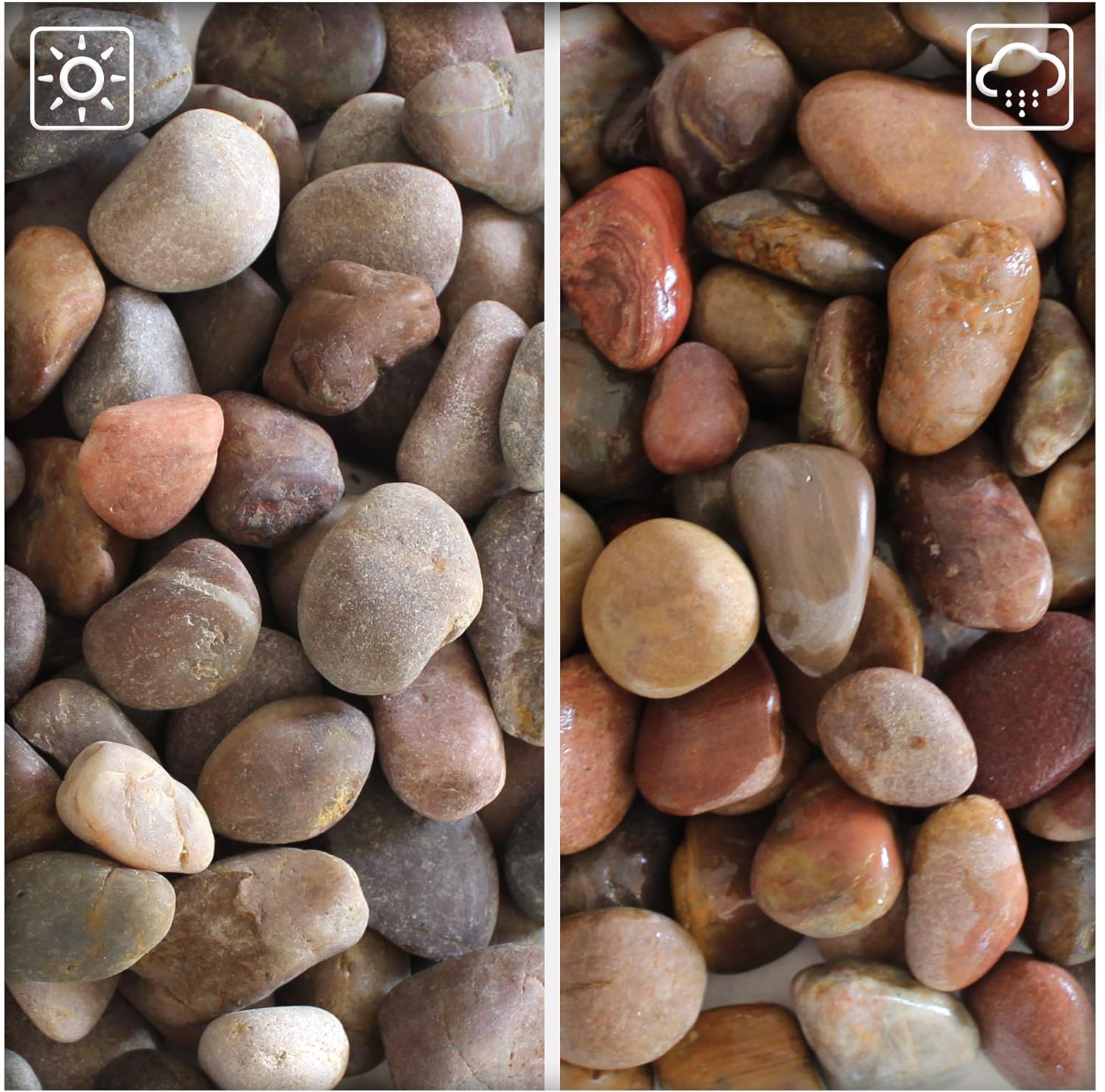 Kieskönig Roter Zierkies Flusskiesel River Pebbles Gartenkies