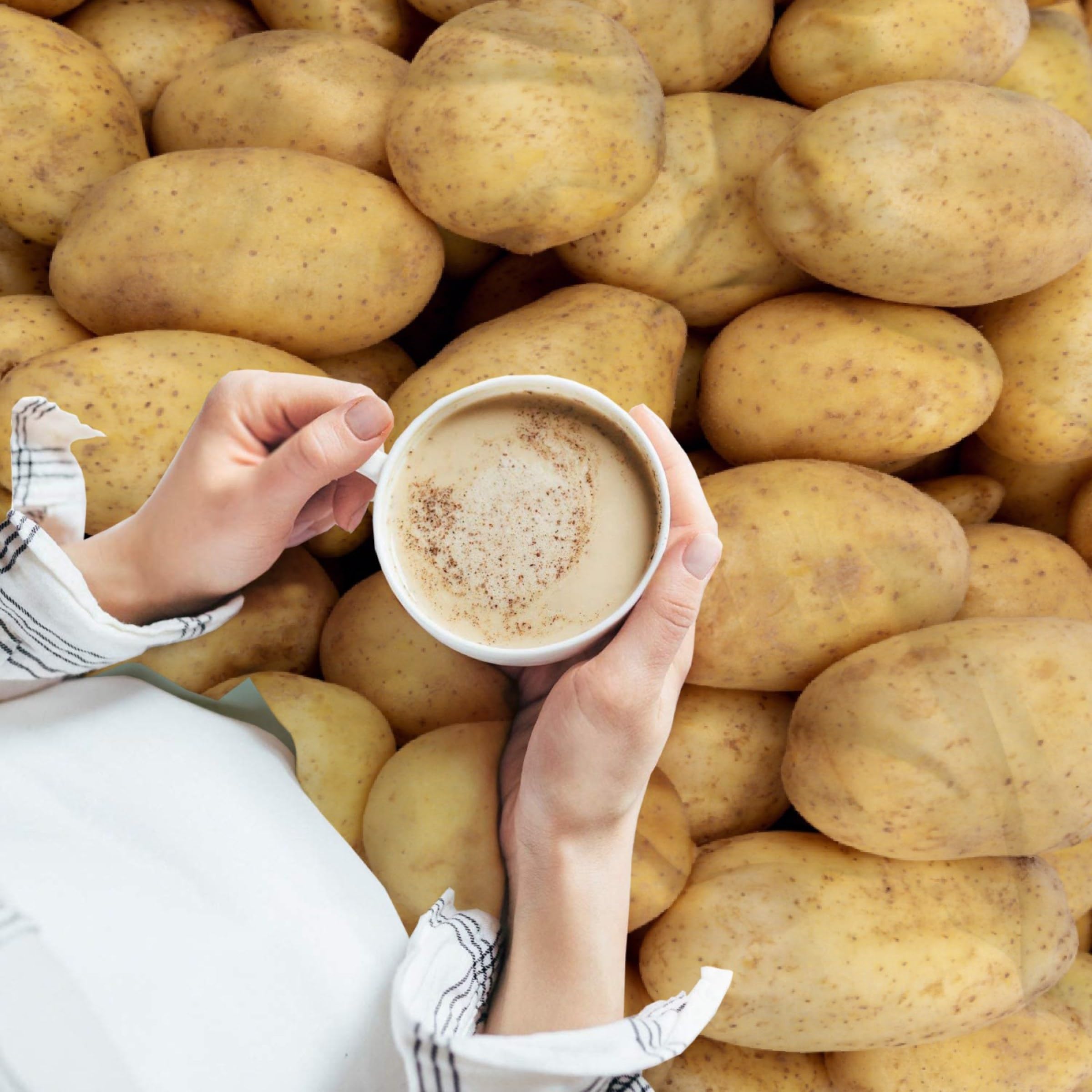 Cute Potato Soft Comfy Flannel Blanket Fluffy Queen Plush Throw Twin Cozy Outdoor Picnic Living Room Travel Couch 60x50in For Teenager - View #12