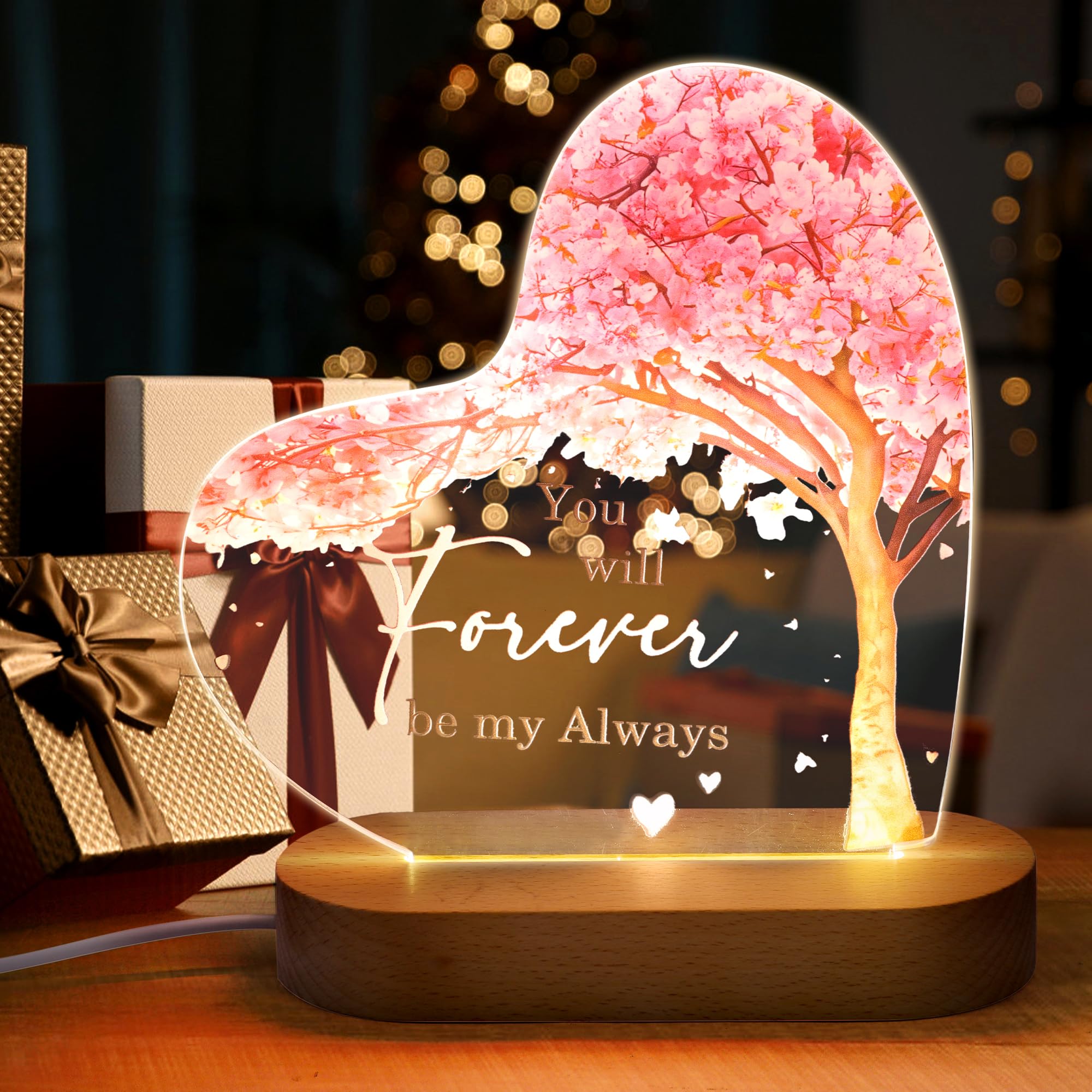 Ledander Night Light Gifts for Her Valentines Gifts for Boyfriend Girlfriend Engraved Acrylic Night Light with 3 Lighting