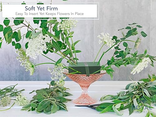 Miniatura 3 de Royal Imports Bloques de espuma floral húmedos y secos para arreglos florales frescos o artificiales ladrillos de espuma de poliestireno florista 2