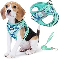 Jolifield Step-in Dog Harness & Leash Set for Small Dogs/Cats - Adjustable Padded Breathable Mesh, Reflective No-Pull Vest, Teal L