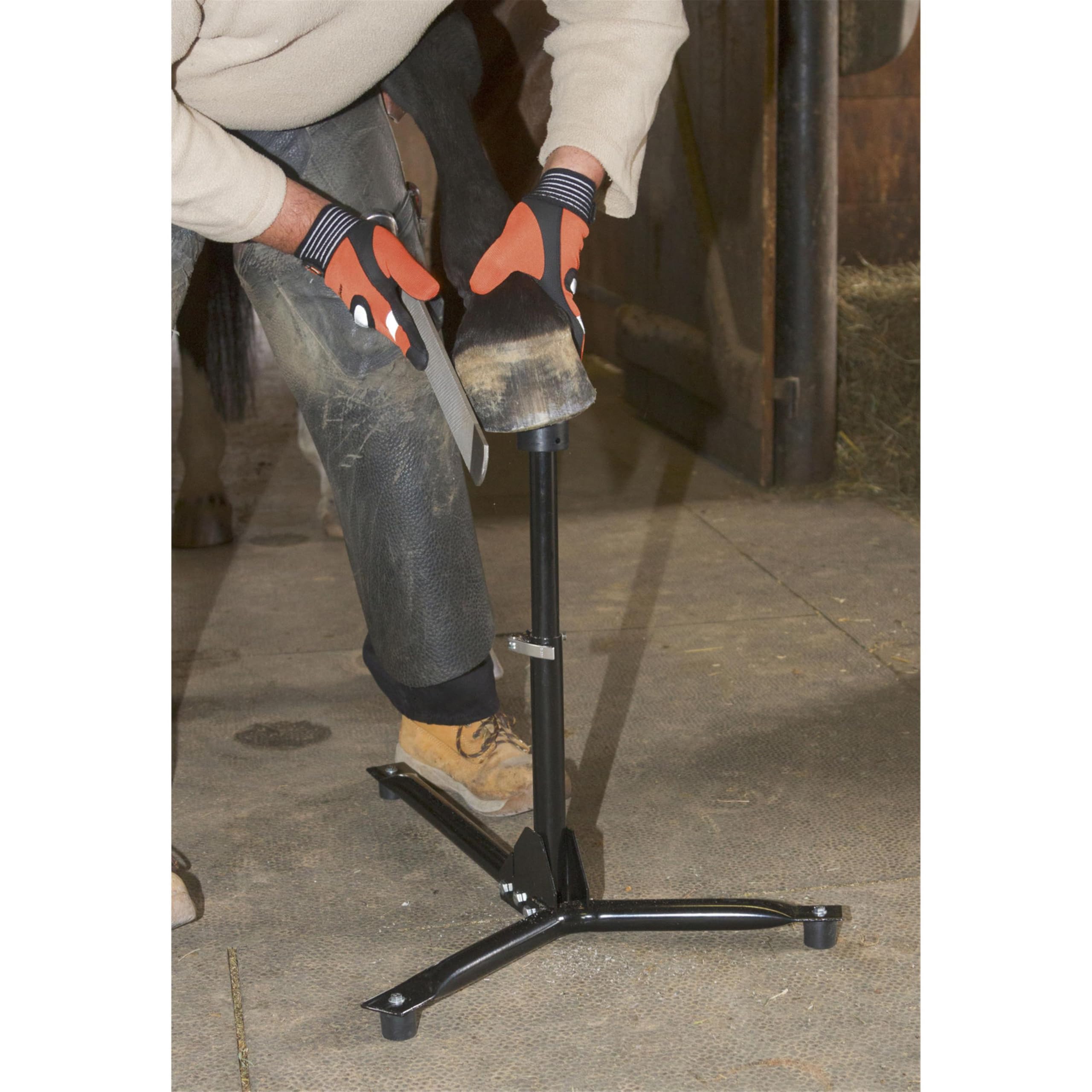 Hufbock EcoFlex, 2in1-Lösung für Vorder- und Hinterhufe, höhenverstellbare Arbeitshöhe 35-63 cm