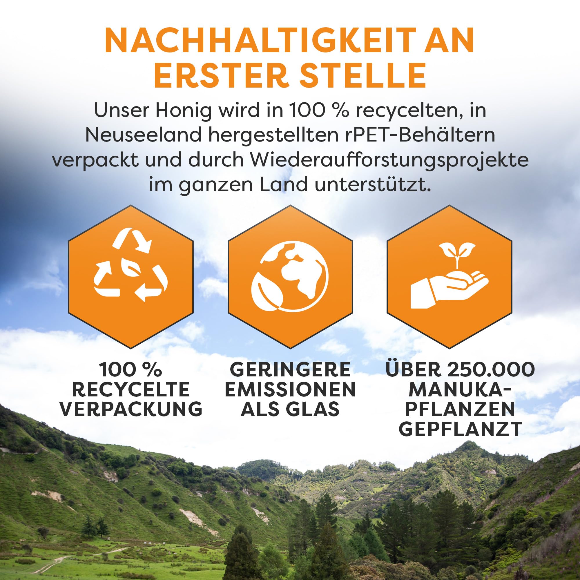 MANUKA DOCTOR MGO 540+ Manuka Honig Monofloral 250g 100% Reiner Neuseeland Honig Zertifiziert RAW