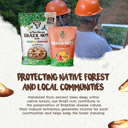 Vista 43 de Snack The True Organic Brasil Nuts 15 oz – Crudos y sin sal – Kosher – Saludables ricos en proteína vegetal – Cosechados en la selva amazónica