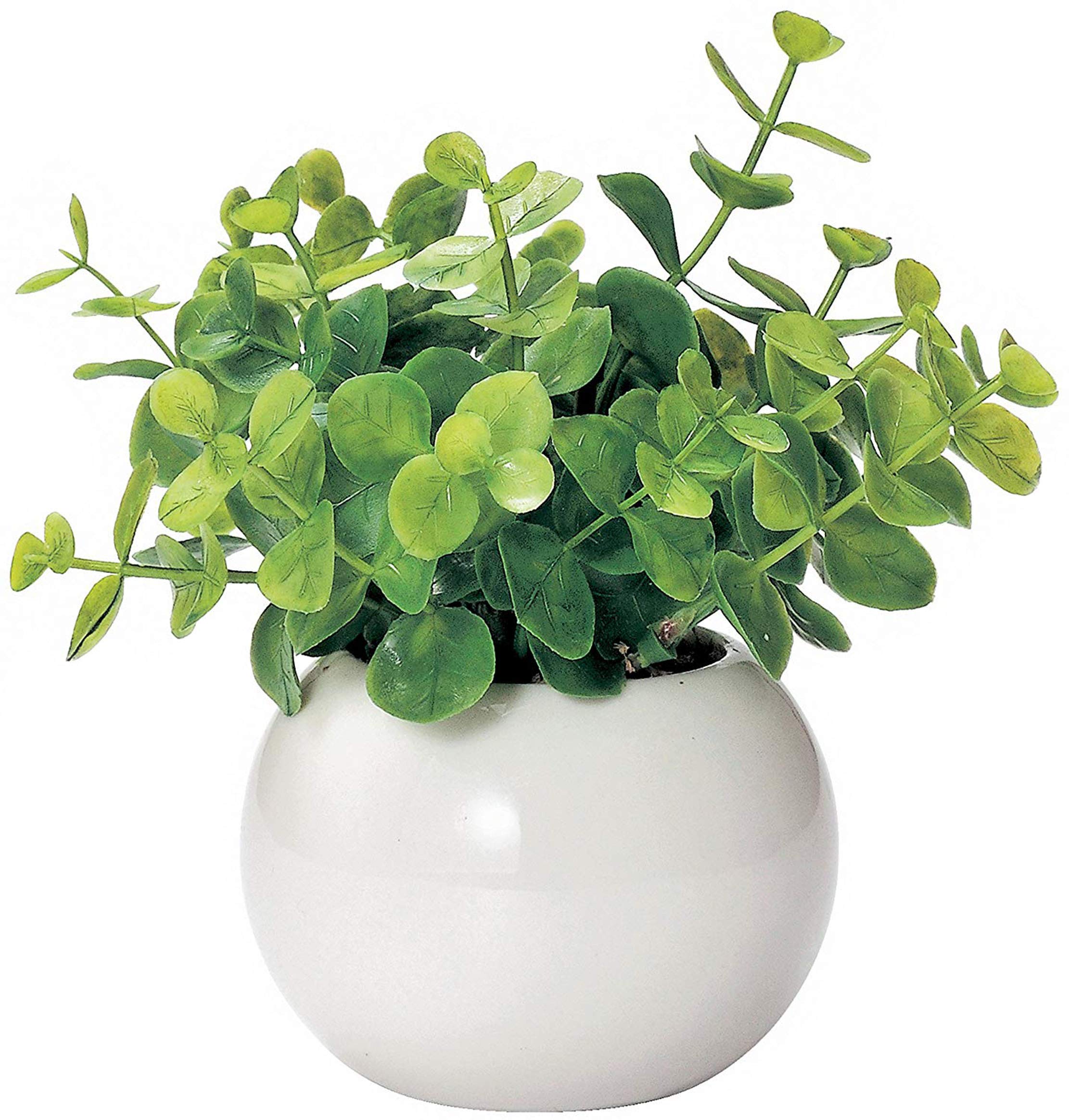 Amazon｜ミニ インテリアグリーン 造花 観葉植物 かわいい まあるい