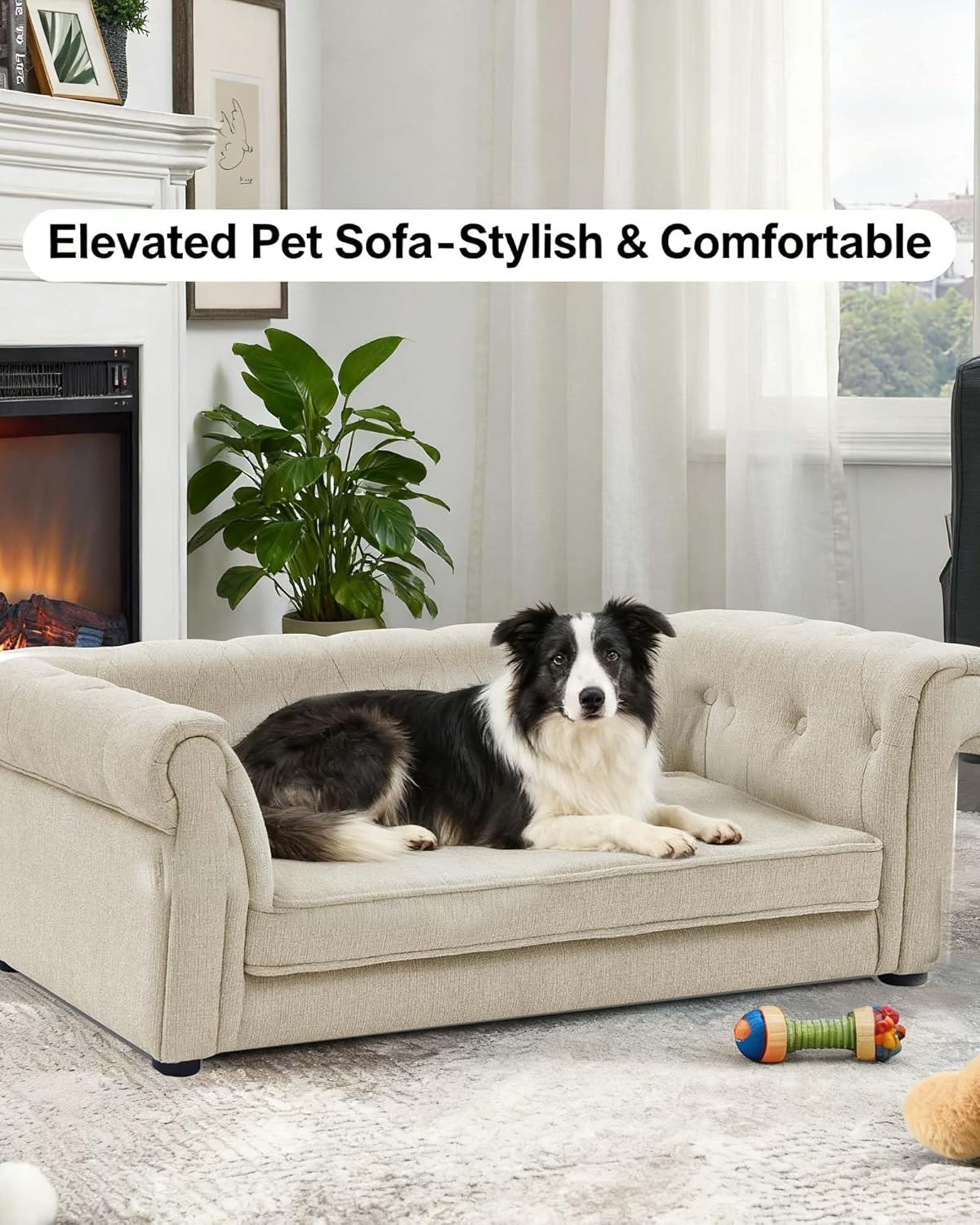 HACHIKITTY Elevated Dog Couch Bed, Memory Foam Pet Sofa with Removable Washable Cozy Cushion, Rectangle Backrest and Armrests, Durable Dog Sofa Bed for Small to Medium Dogs, Beige