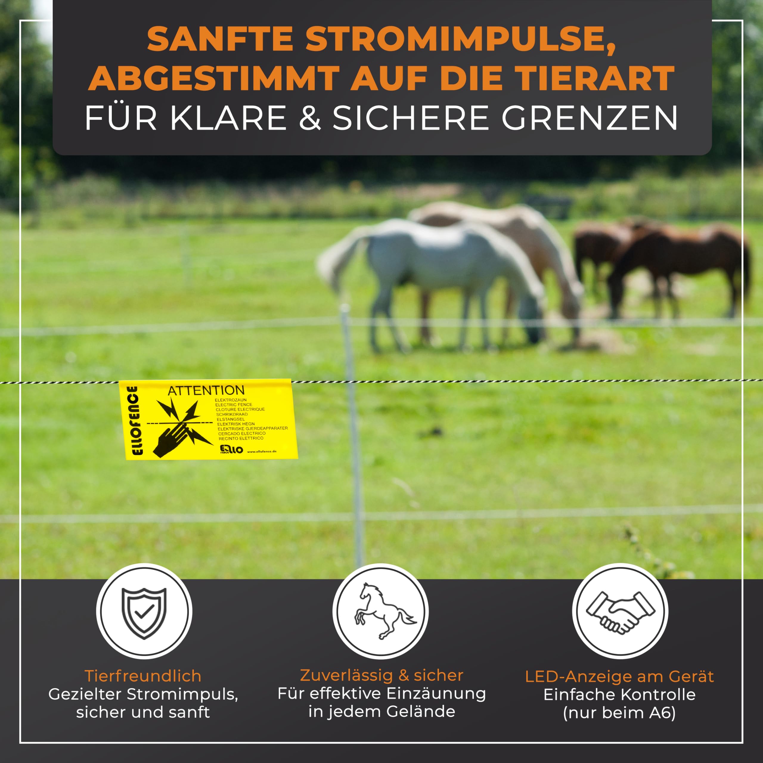 Weidezaungerät Akku A500 | Starkes 12V Elektrozaungerät mit 8’000V