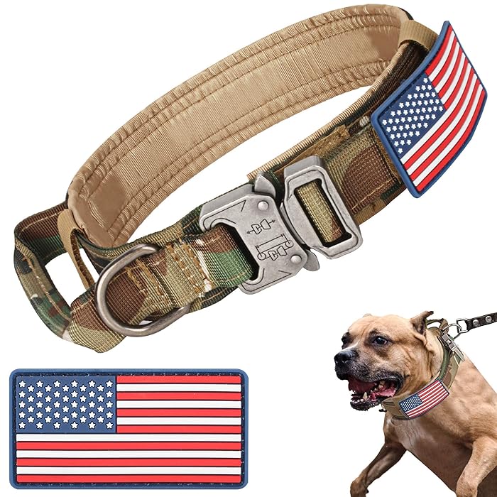 Buy Tactical Dog Collar For Large / Medium Dogs Thick Nylon Camo Collar