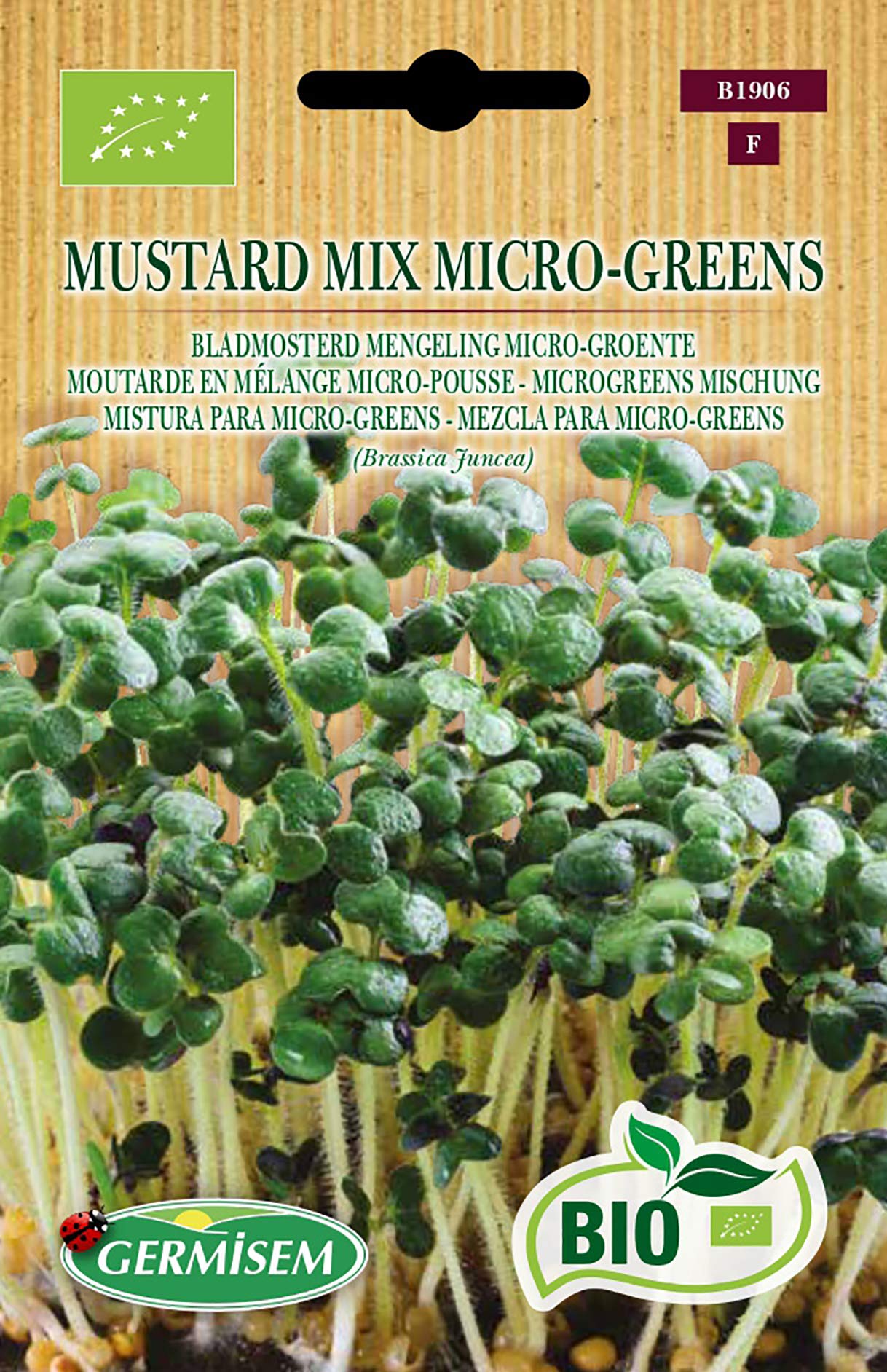 Germisem Microgreens Mischung MUSTARD MIX MICRO-GREENS, ECBIO1906
