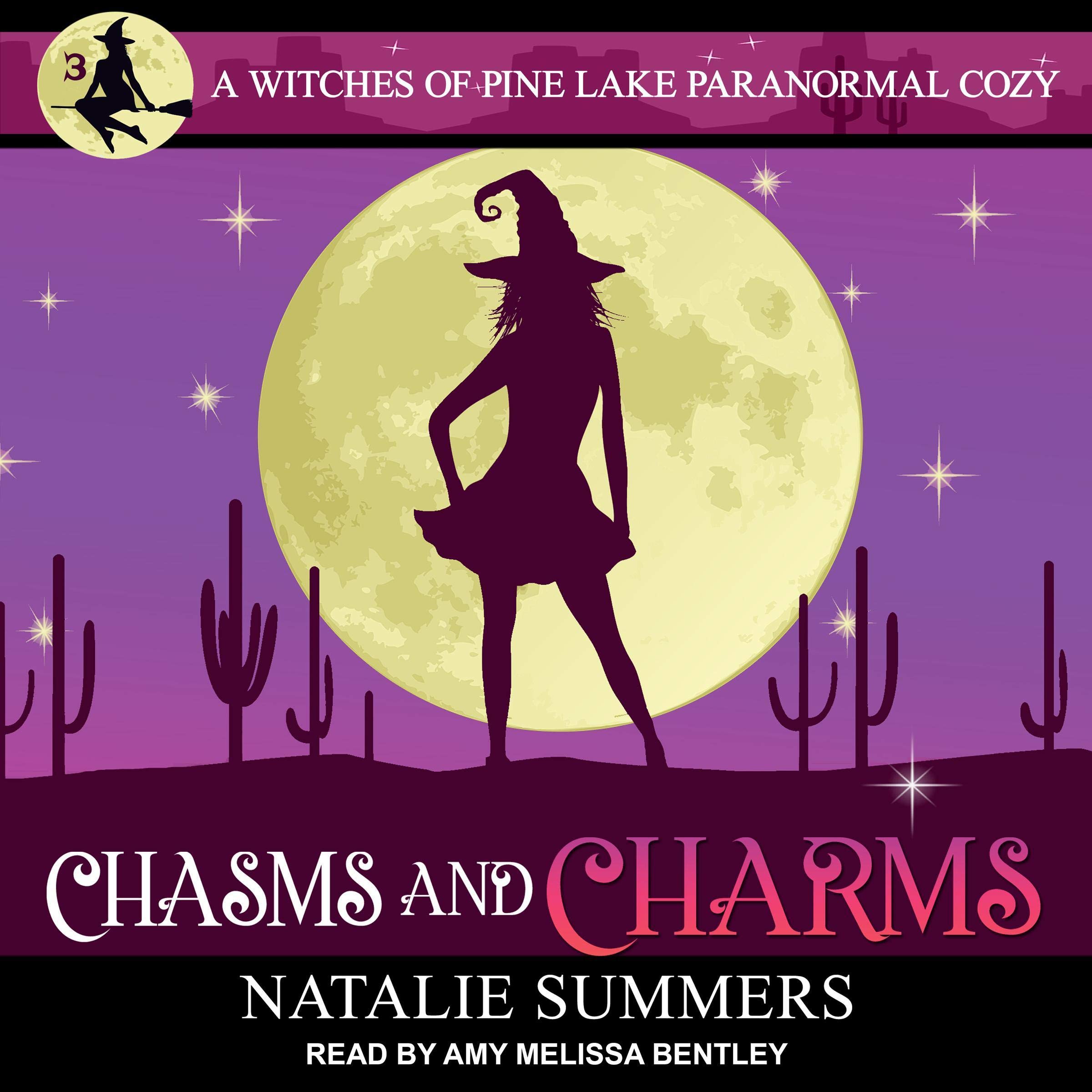 Cover art for Chasms and Charms