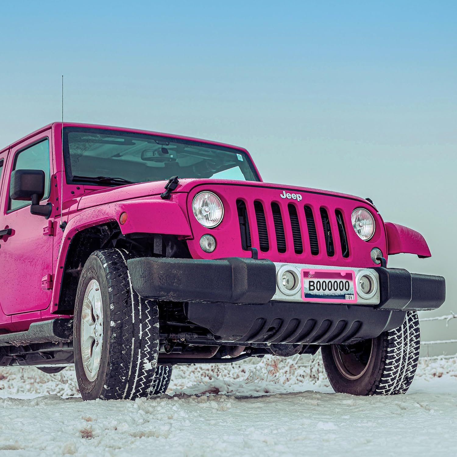 Pink License Plate Frame, Premium Fashion Matte Aluminum Alloy Holder with 2 Holes, 2 Pack Waterproof Rust-Proof Universal Car Frame for Women, Including Screws, Caps and Rattle Proof Pads
