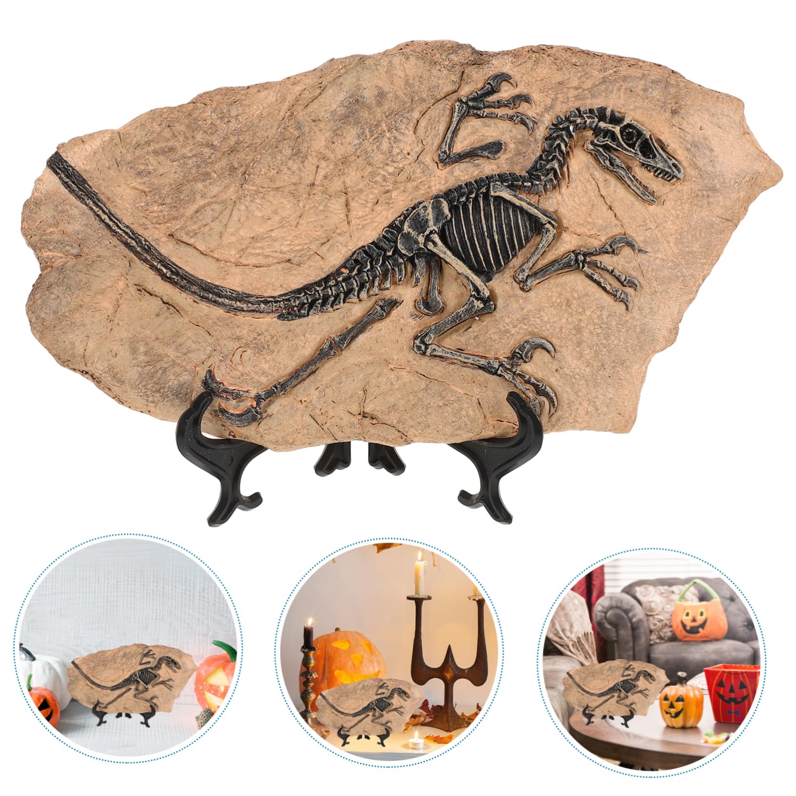 1set Decorazioni Fossili Di Dinosauro Da Tavolo Per Educazione e Arredo Oggetto Unico Per Conversazioni Interessanti e Compleanni Esempio Didattico Di Vita Preistorica Ornamento