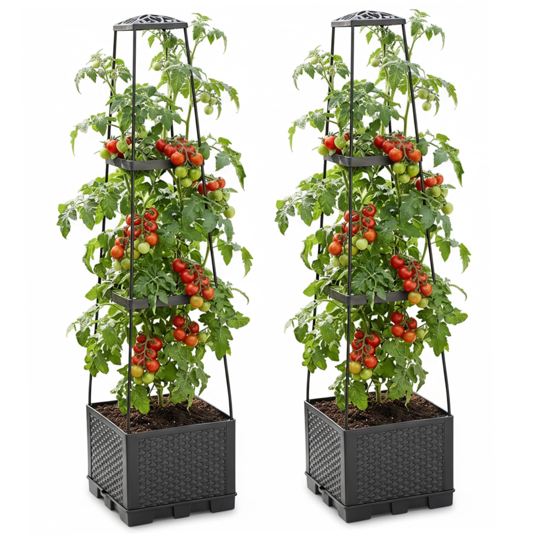 Boîte de plantation de tomates avec treillis lot de 2 bacs surélevés pour tuteurer vos légumes