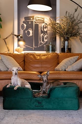 Miniatura 2 de NOAH & PAW Cama grande para perro, 35 x 25 x 11 pulgadas, camas ortopédicas para perros, espuma viscoelástica con cáscara de huevo con gel