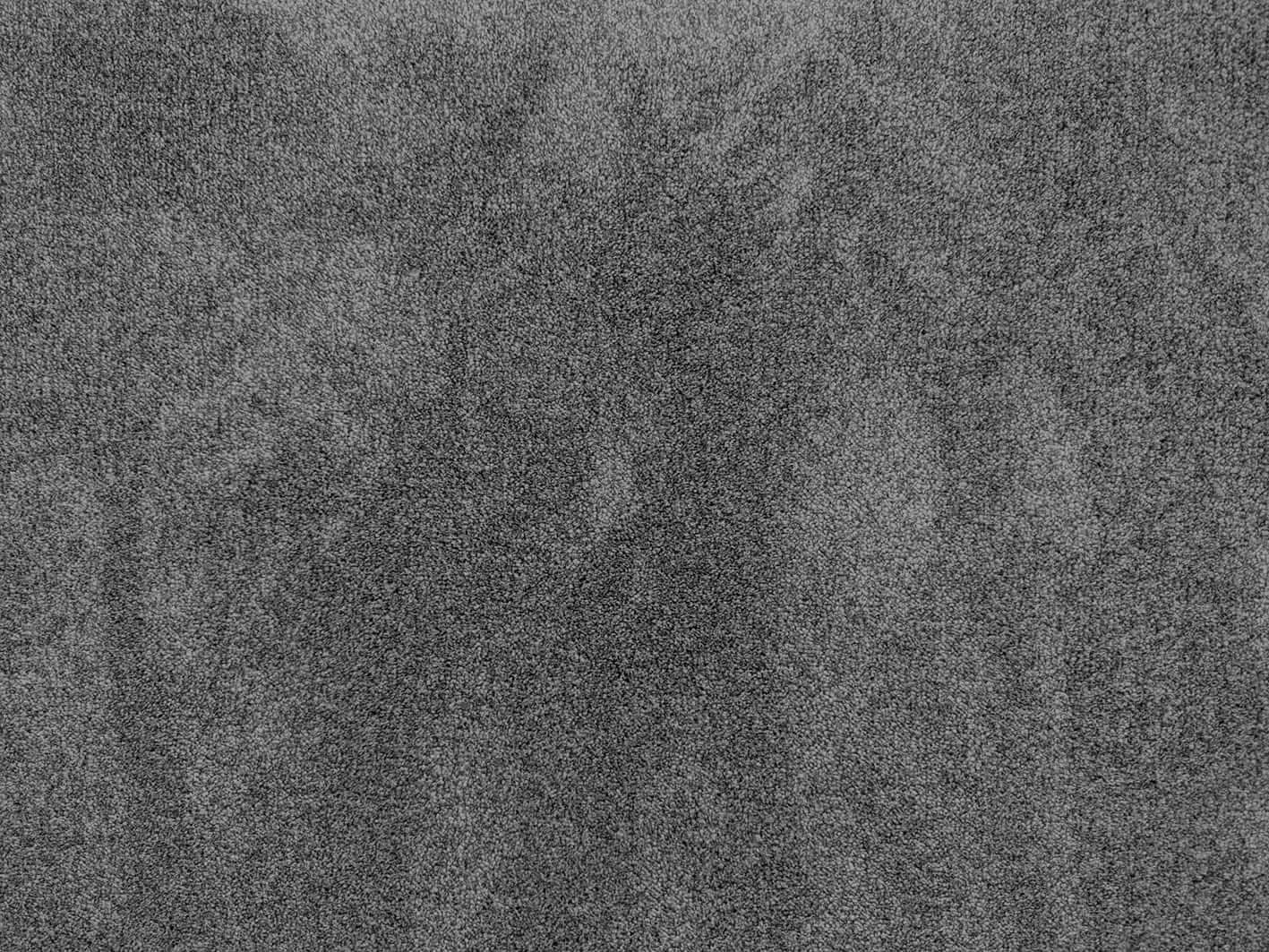 Moquette velours douce et moelleuse Jasmin | Moquette haut de gamme pour les pièces à vivre, gris, Découpe (4m de large / 6m de long)