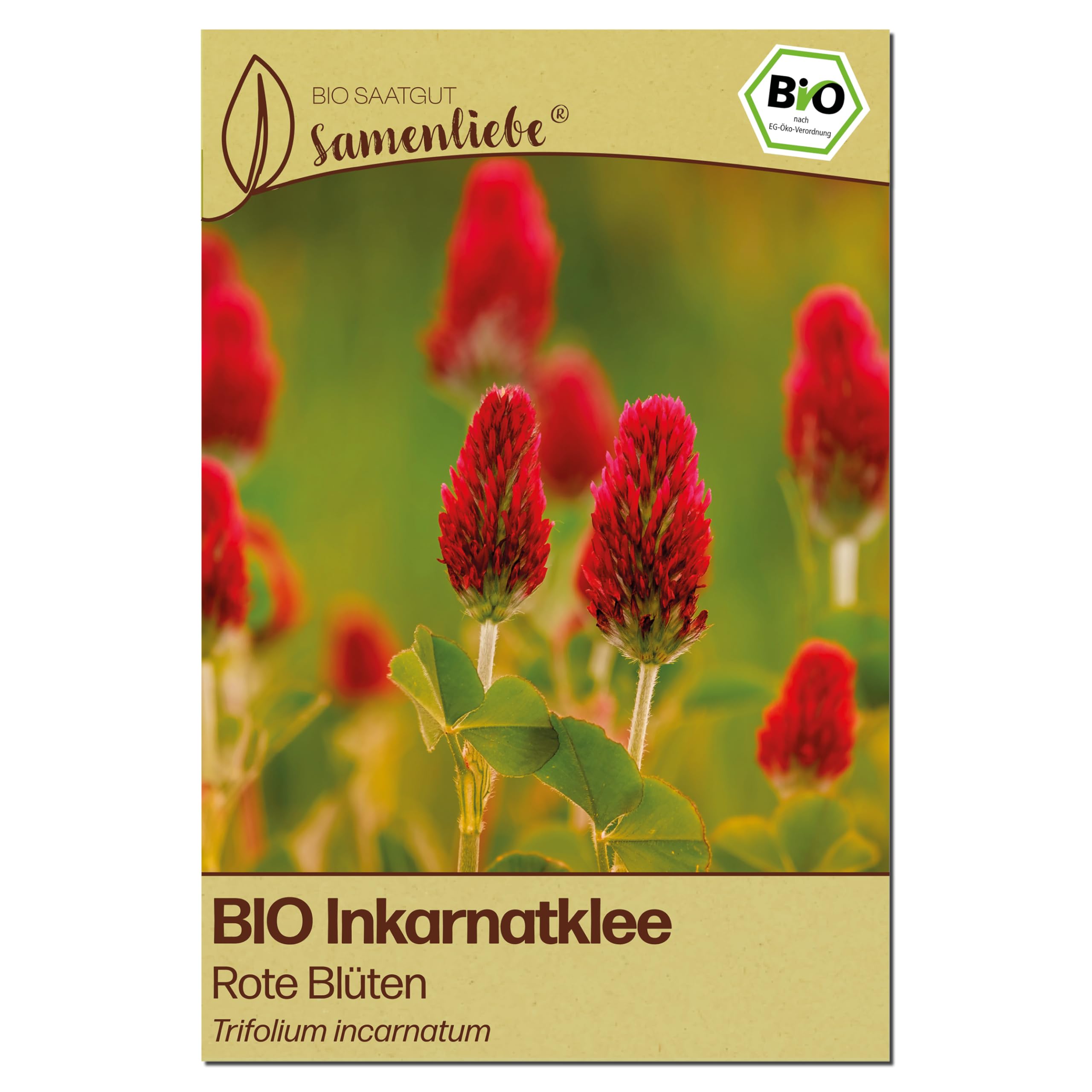 Samenliebe BIO Inkarnatklee Samen | Klee Bienenweide - Gründünger - samenfestes BIO Saatgut