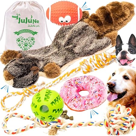 amazon dog items