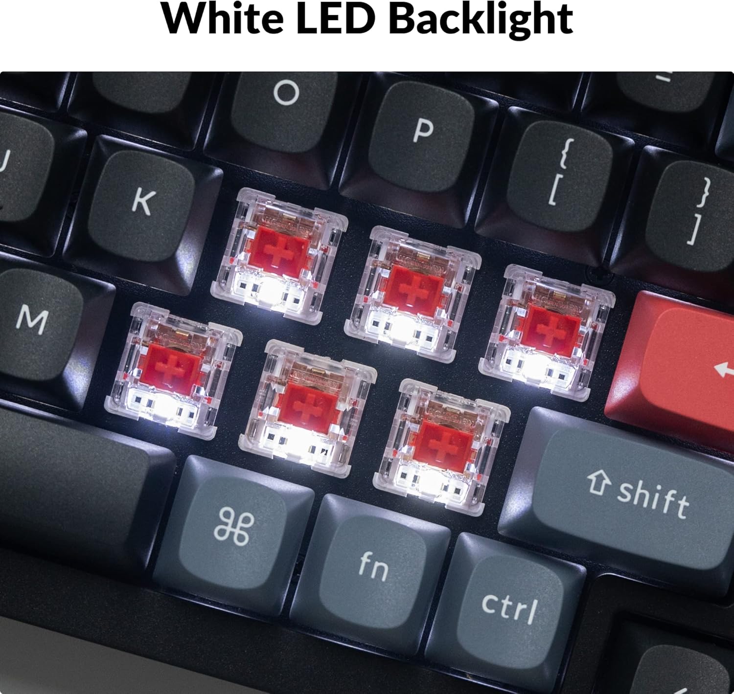 Close-up of the Keychron K4 Pro switches with white LED backlighting illuminated.