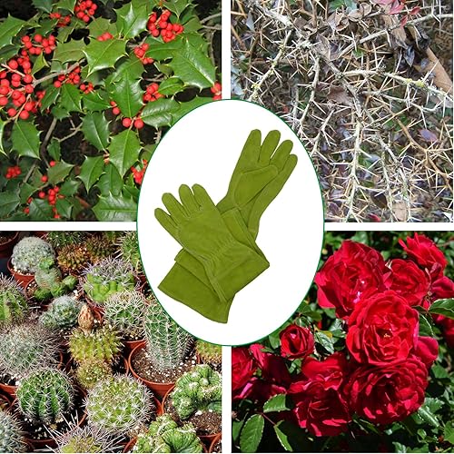 Miniatura 4 de HANDLANDY Guantes de jardinería de cuero para mujer, guantes largos a prueba de espinas, guantes de jardín resistentes, hasta el codo, guantes de